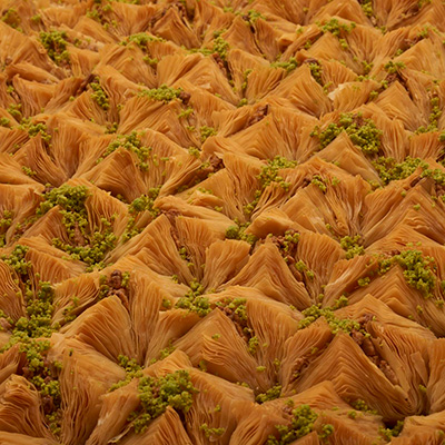 Birds-Nest
